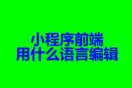 小程序前端開發(fā)用什么語言編輯